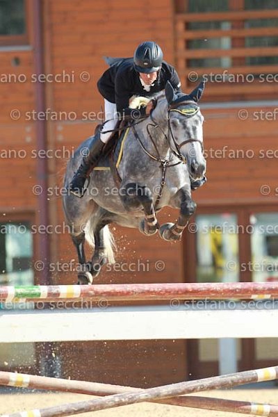 INSELVINI_SPRING_GIO CAV 2011_SS3_7444.jpg